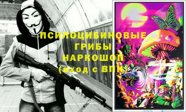 стаф Алзамай