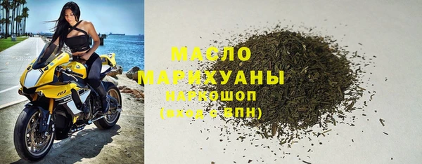 индика Абинск