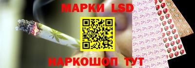 индика Славгород