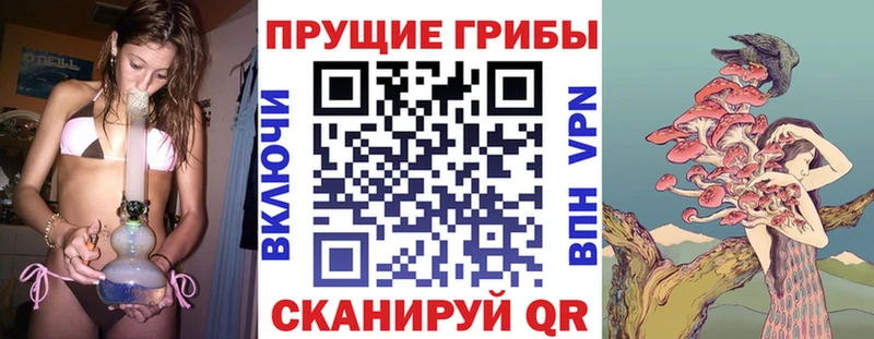 Галлюциногенные грибы Psilocybe  ссылка на мегу tor  Омск  где купить наркотик 