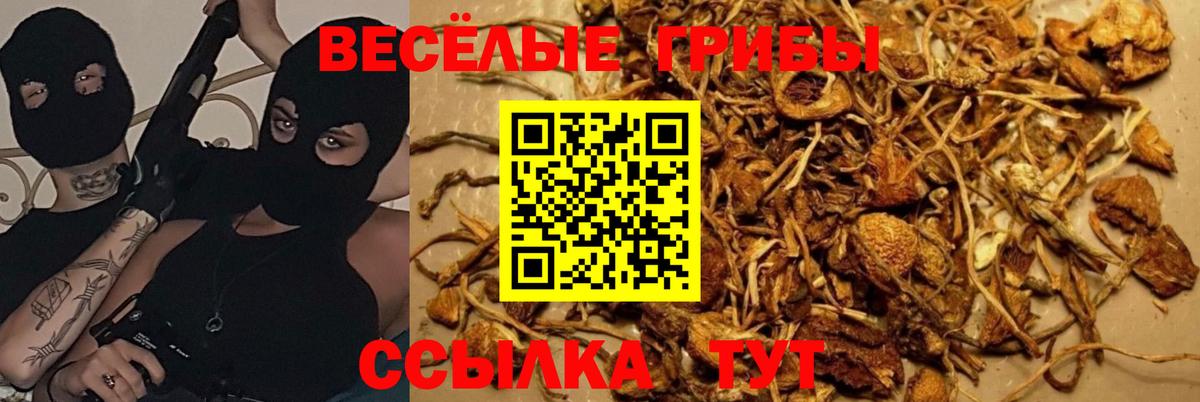 Псилоцибиновые грибы MAGIC MUSHROOMS  Галлюциногенные грибы Psilocybine cubensis  Омск  Вход с VPN 